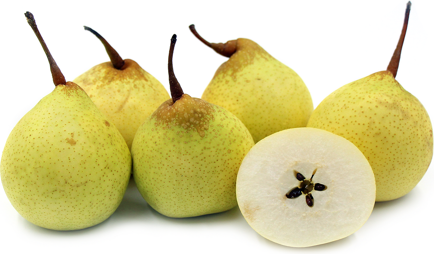 Yali pear
