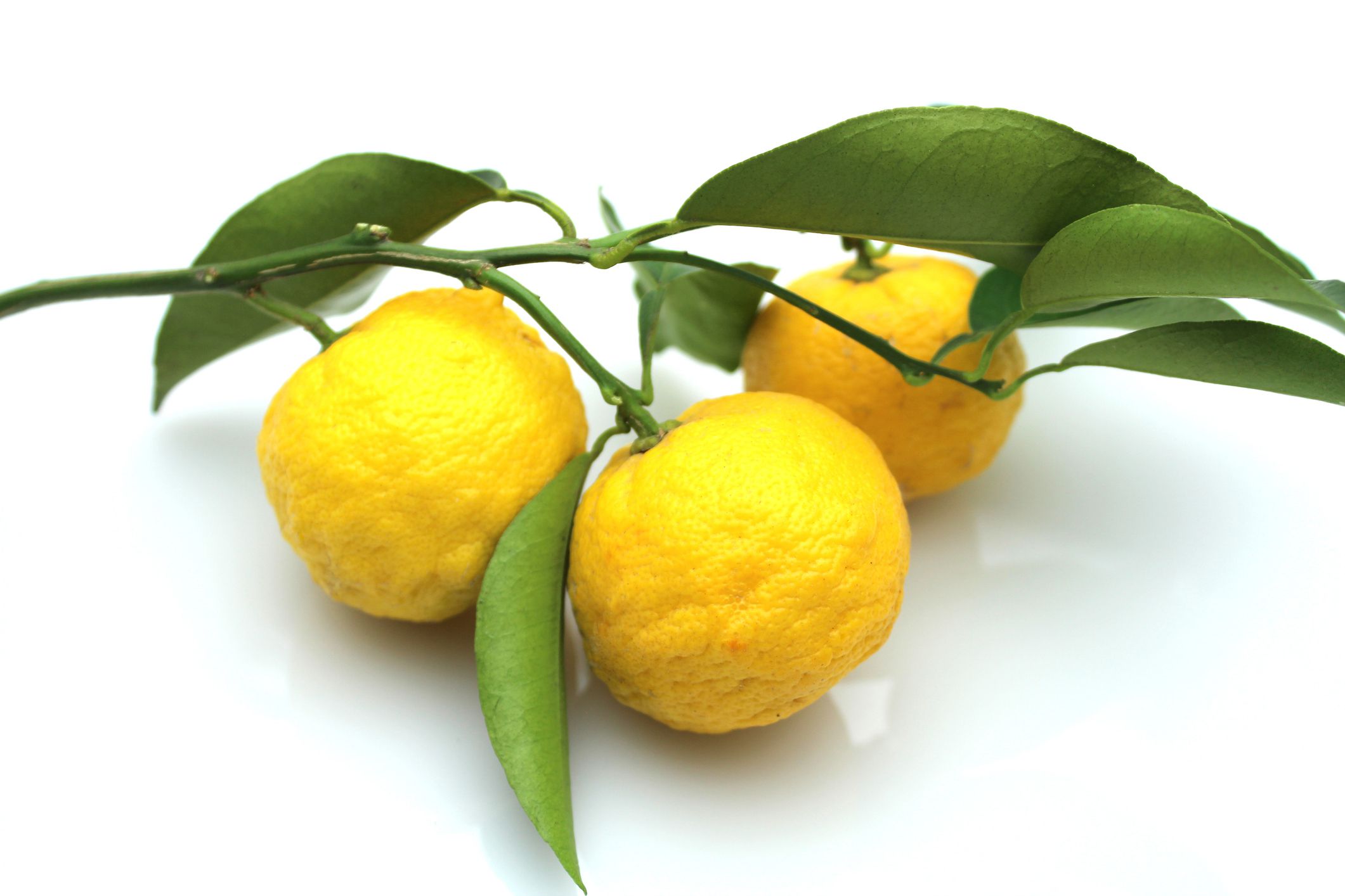 Yuzu